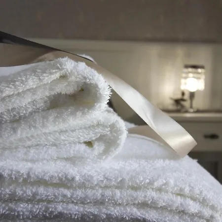 Oda ve Kahvaltı Arena